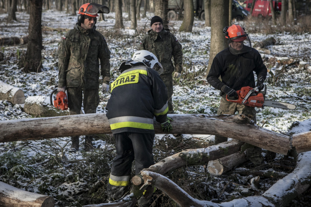 Terytorialsi i strażacy na wspólnym szkoleniu