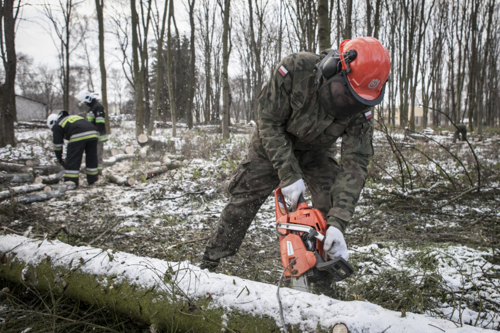 Terytorialsi i strażacy na wspólnym szkoleniu