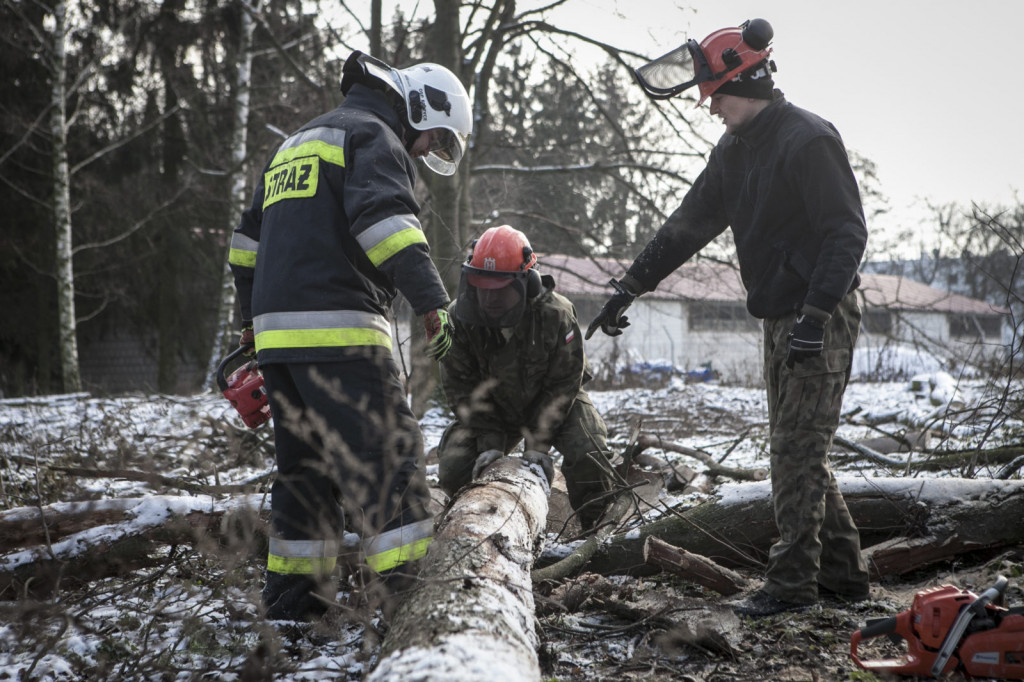 Terytorialsi i strażacy na wspólnym szkoleniu
