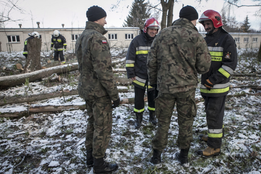 Terytorialsi i strażacy na wspólnym szkoleniu