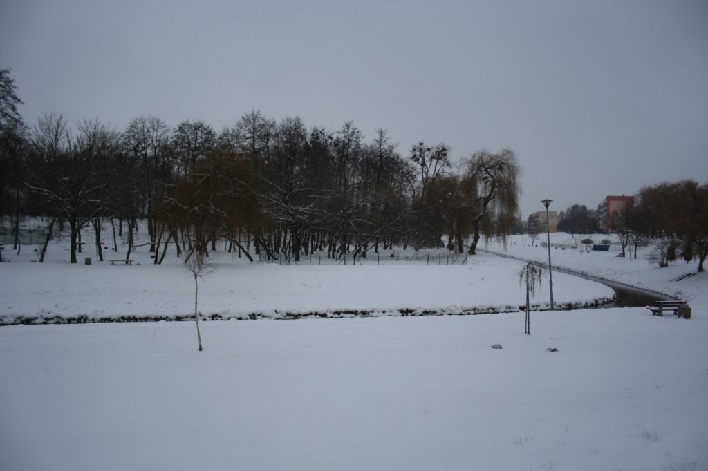 Zamość w zimowej odsłonie... [FOTO]