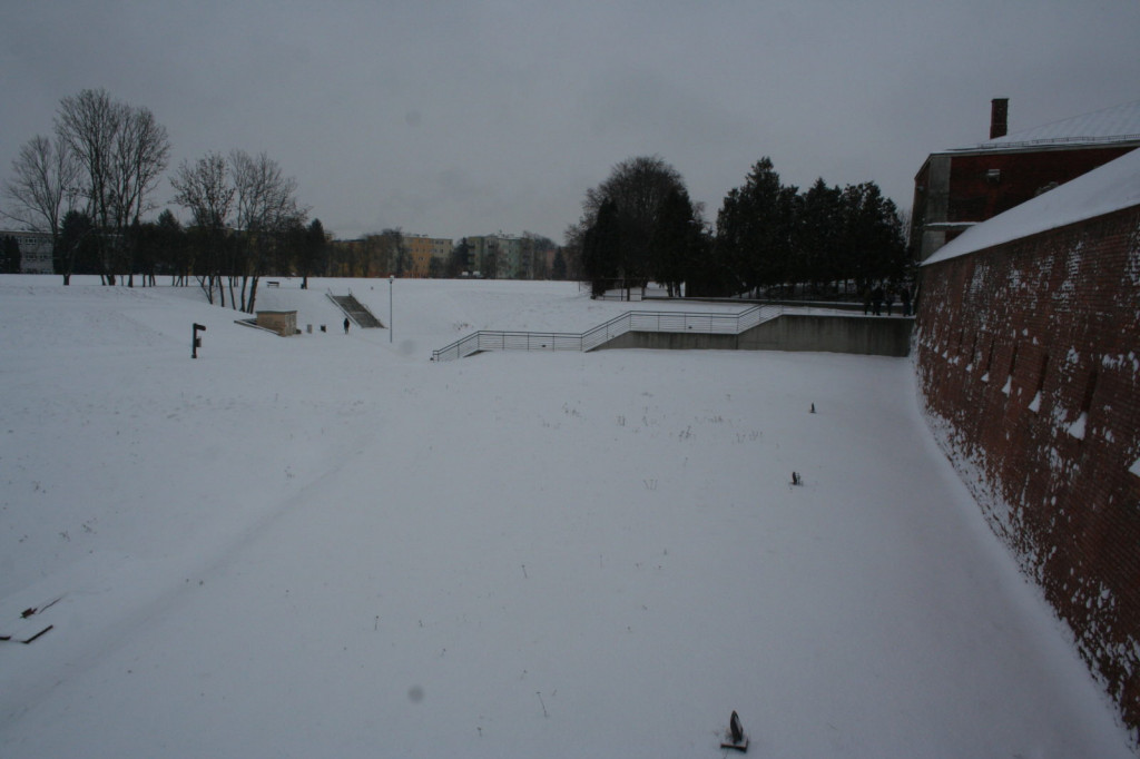 Zamość w zimowej odsłonie... [FOTO]