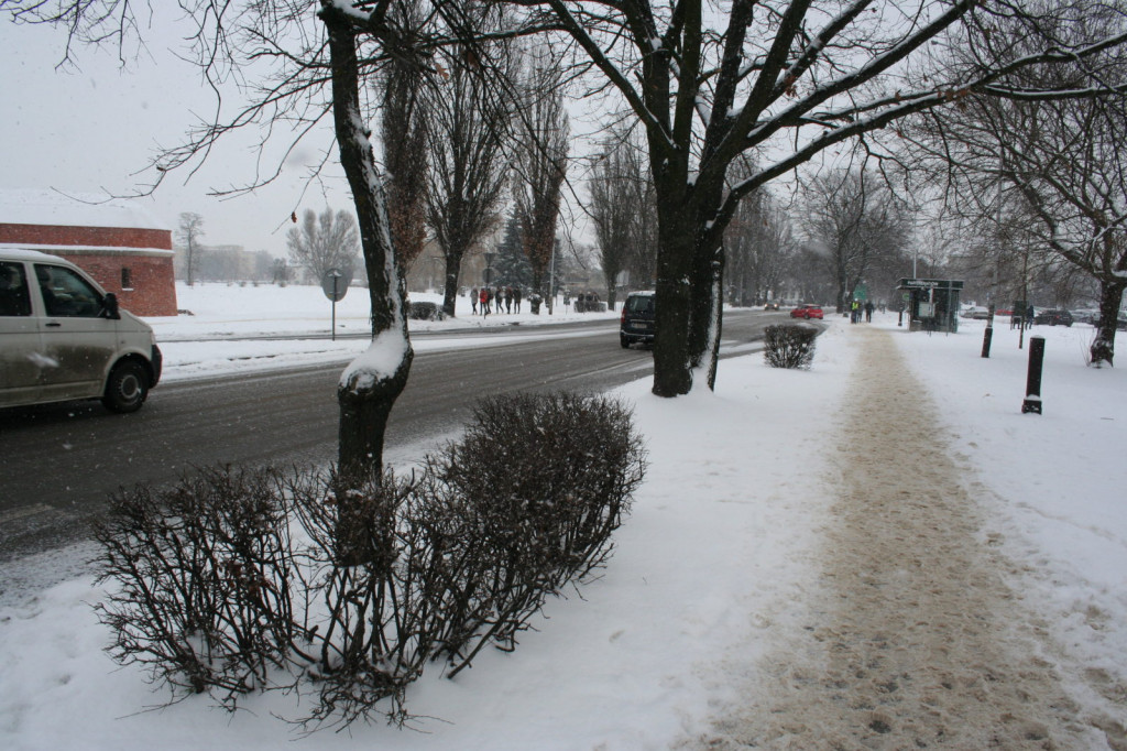 Zamość w zimowej odsłonie... [FOTO]