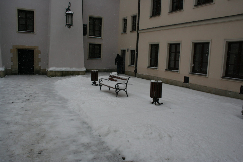 Zamość w zimowej odsłonie... [FOTO]