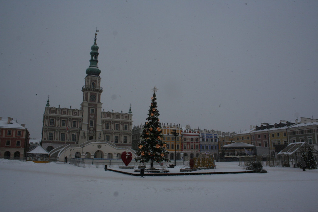 Zamość w zimowej odsłonie... [FOTO]