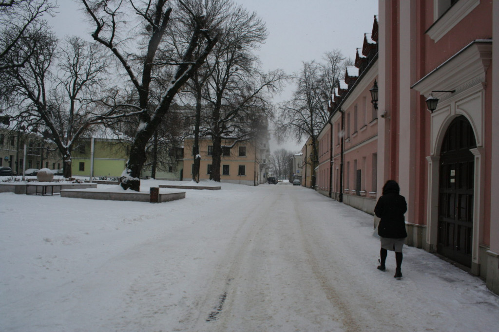 Zamość w zimowej odsłonie... [FOTO]
