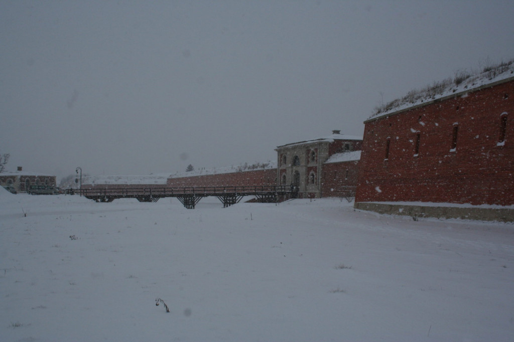 Zamość w zimowej odsłonie... [FOTO]