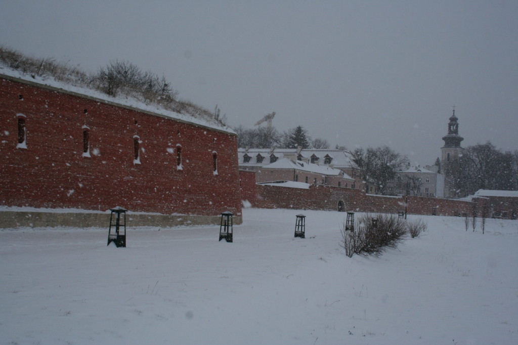 Zamość w zimowej odsłonie... [FOTO]