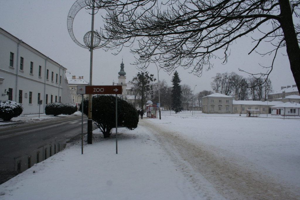 Zamość w zimowej odsłonie... [FOTO]