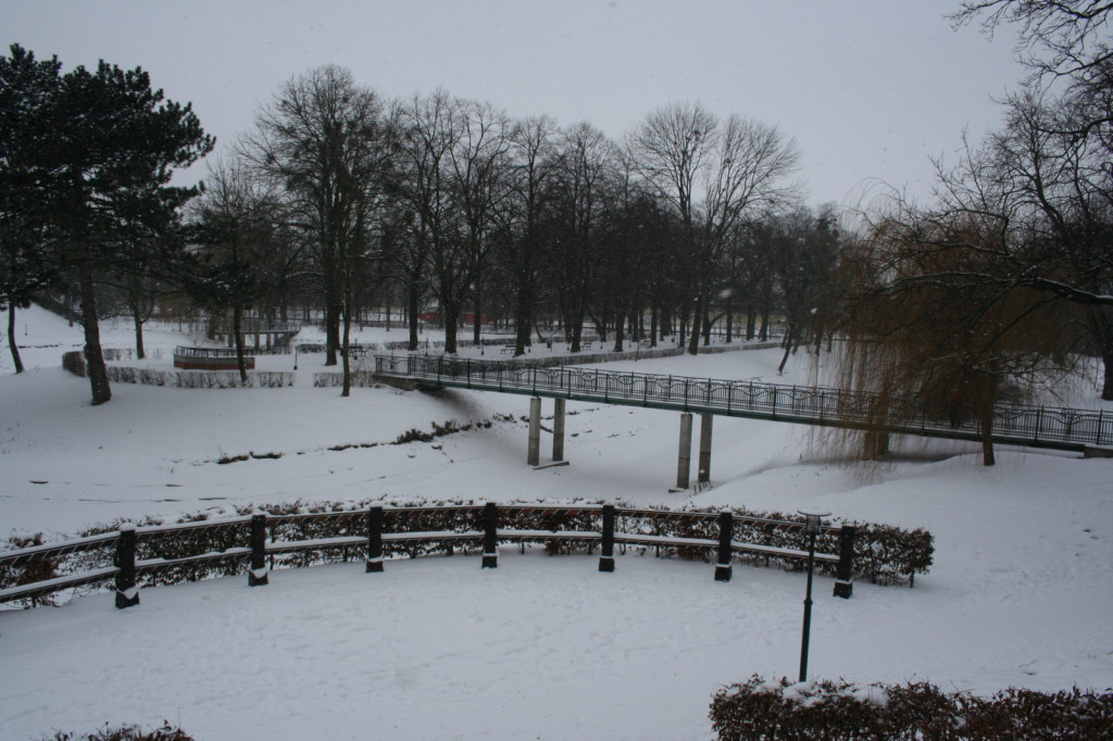 Zamość w zimowej odsłonie... [FOTO]
