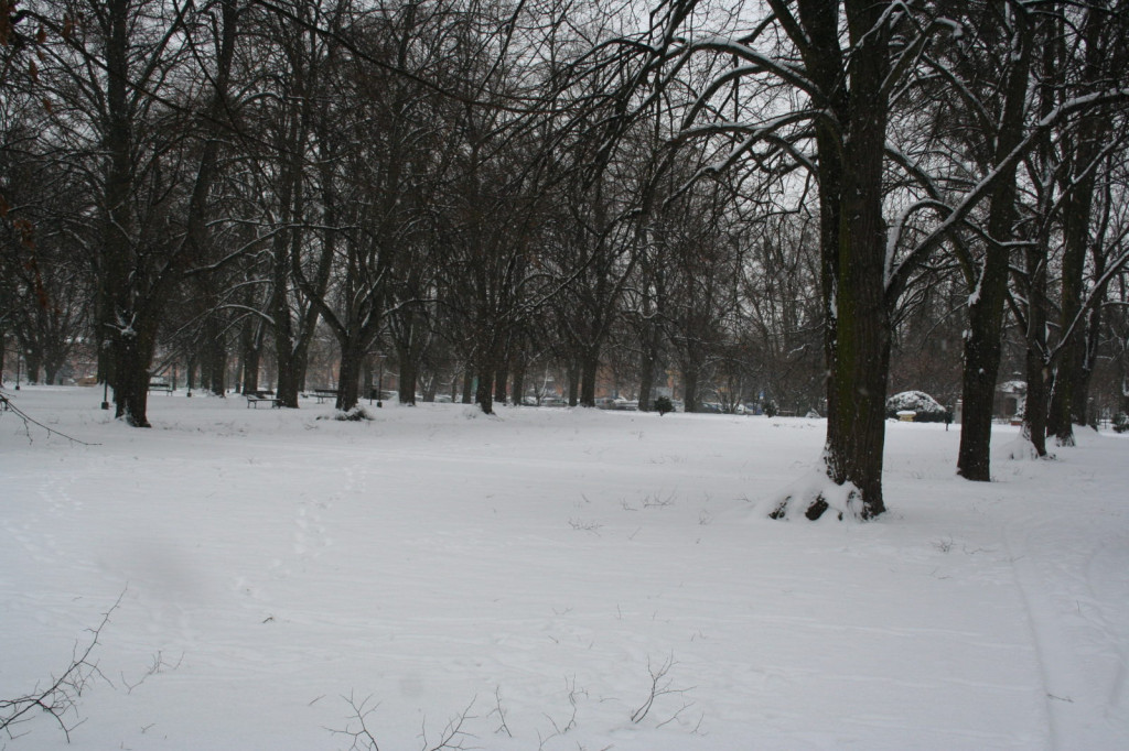 Zamość w zimowej odsłonie... [FOTO]