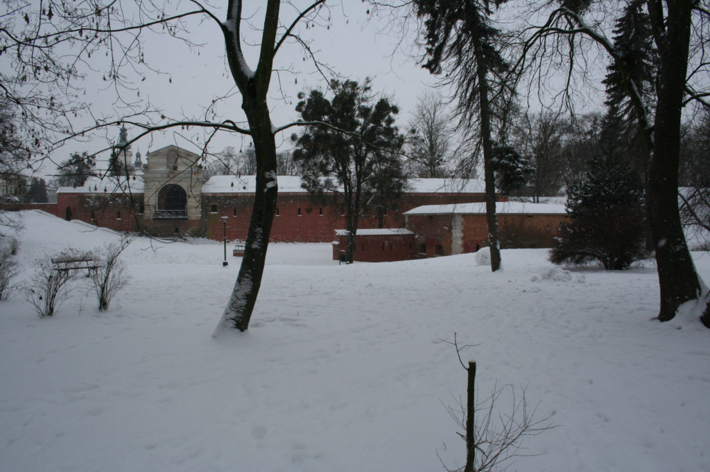 Zamość w zimowej odsłonie... [FOTO]