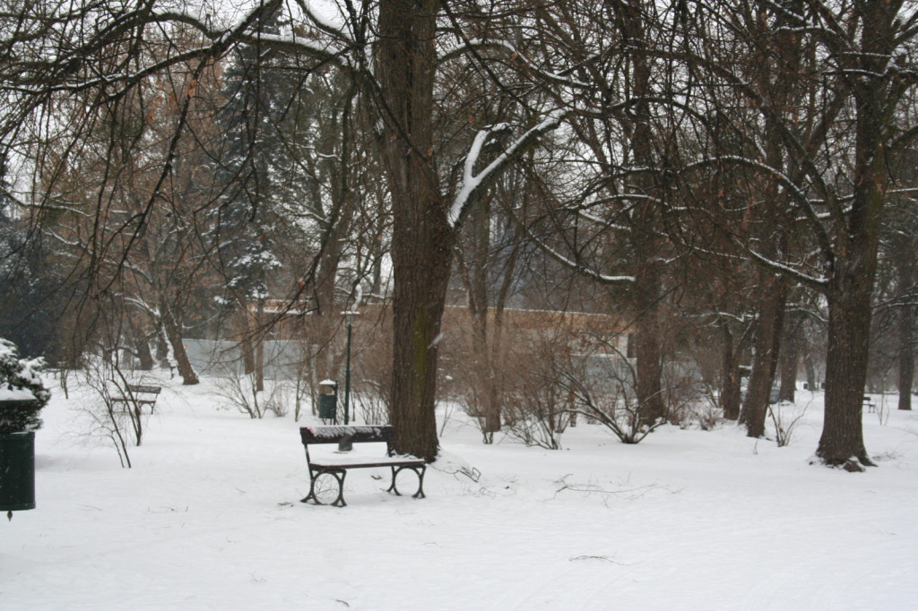 Zamość w zimowej odsłonie... [FOTO]