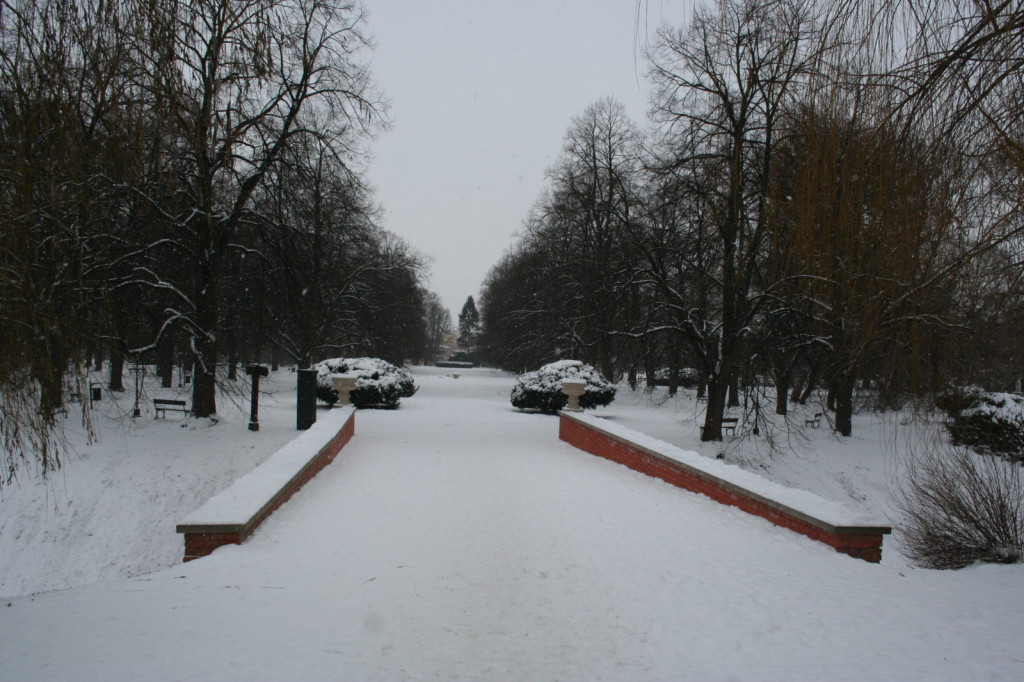 Zamość w zimowej odsłonie... [FOTO]