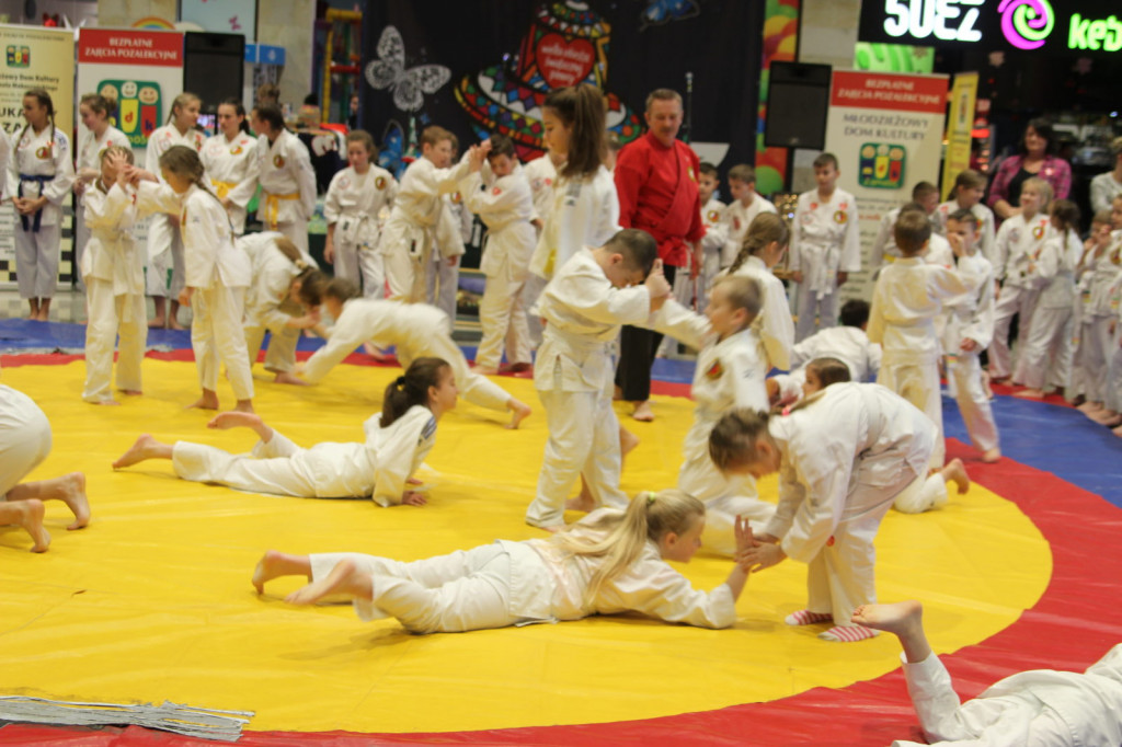 Zamość: Trwa 27. Finał Wielkiej Orkiestry [FOTO] [Zebrano 184003,32 zł - AKTUALIZACJA]