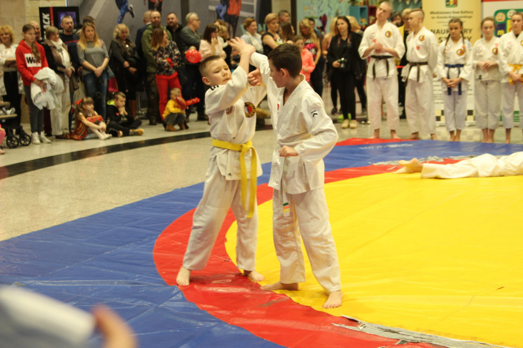 Zamość: Trwa 27. Finał Wielkiej Orkiestry [FOTO] [Zebrano 184003,32 zł - AKTUALIZACJA]