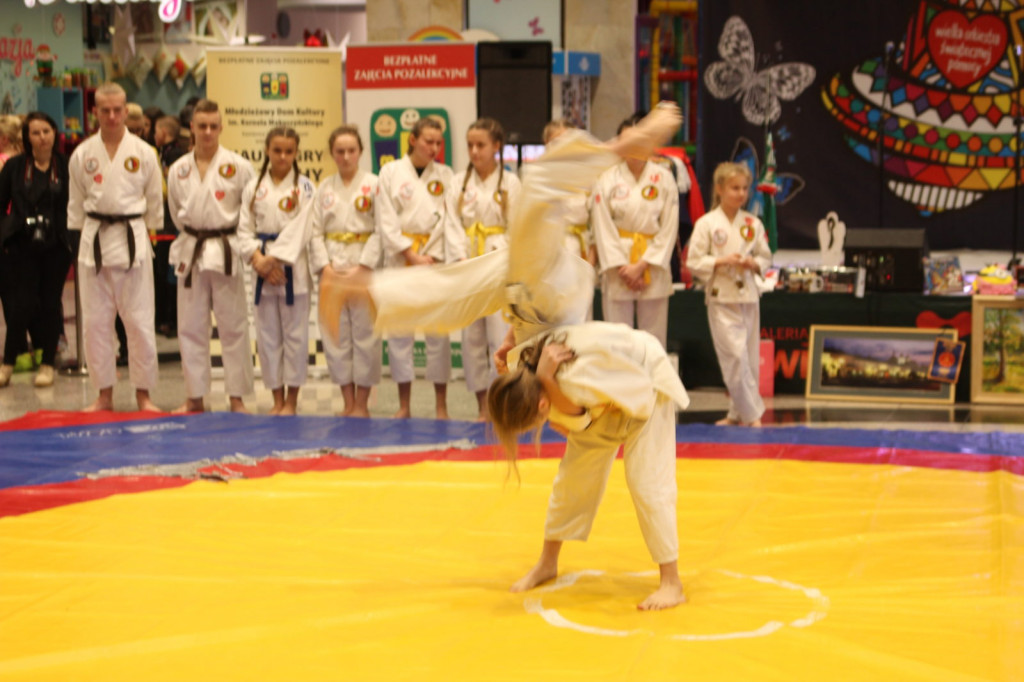 Zamość: Trwa 27. Finał Wielkiej Orkiestry [FOTO] [Zebrano 184003,32 zł - AKTUALIZACJA]