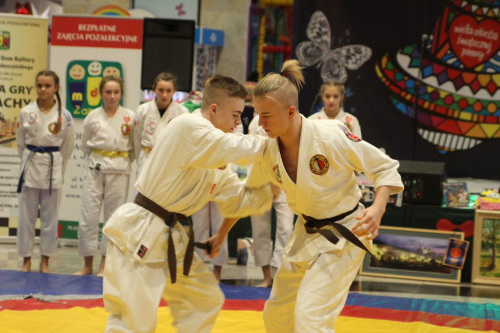 Zamość: Trwa 27. Finał Wielkiej Orkiestry [FOTO] [Zebrano 184003,32 zł - AKTUALIZACJA]