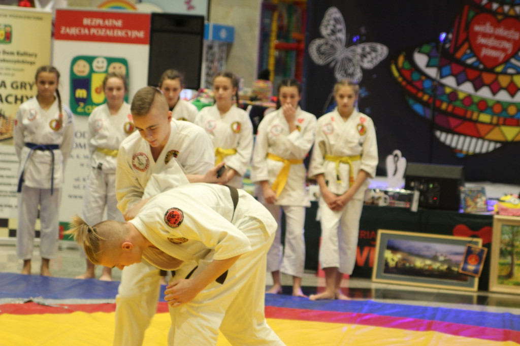 Zamość: Trwa 27. Finał Wielkiej Orkiestry [FOTO] [Zebrano 184003,32 zł - AKTUALIZACJA]