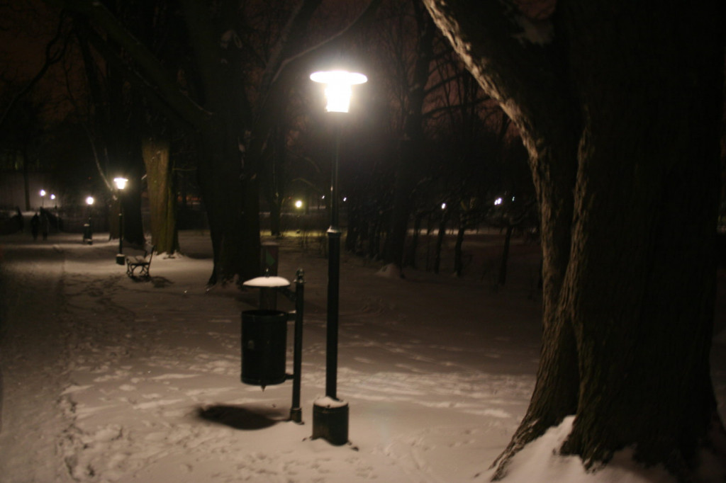 Zamość: Nowe lampy w parku. Czy będą 