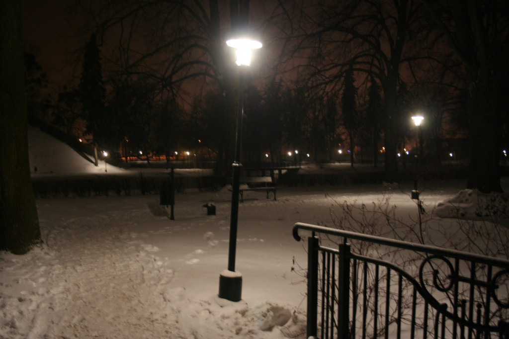 Zamość: Nowe lampy w parku. Czy będą 