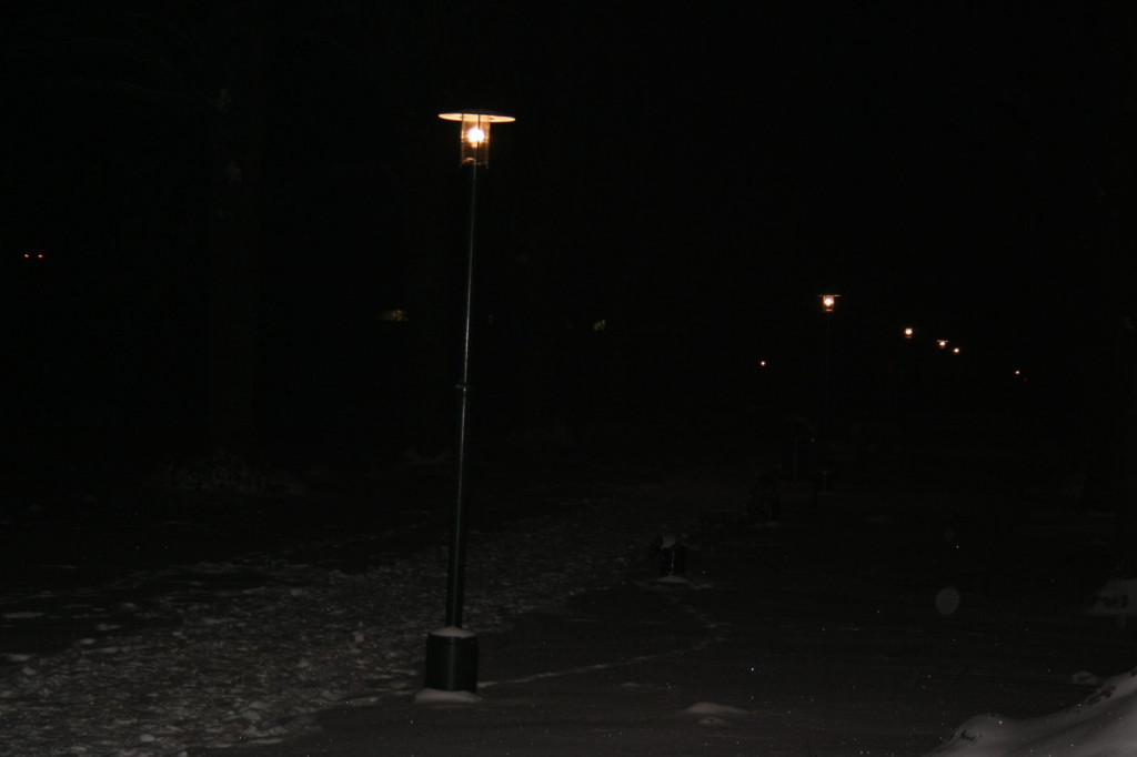 Zamość: Nowe lampy w parku. Czy będą 