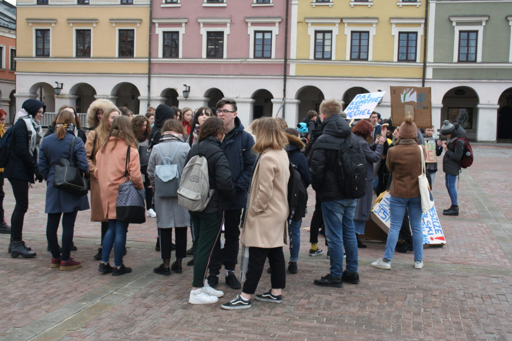 Zamość: Strajkowali dla klimatu [FOTO, VIDEO]