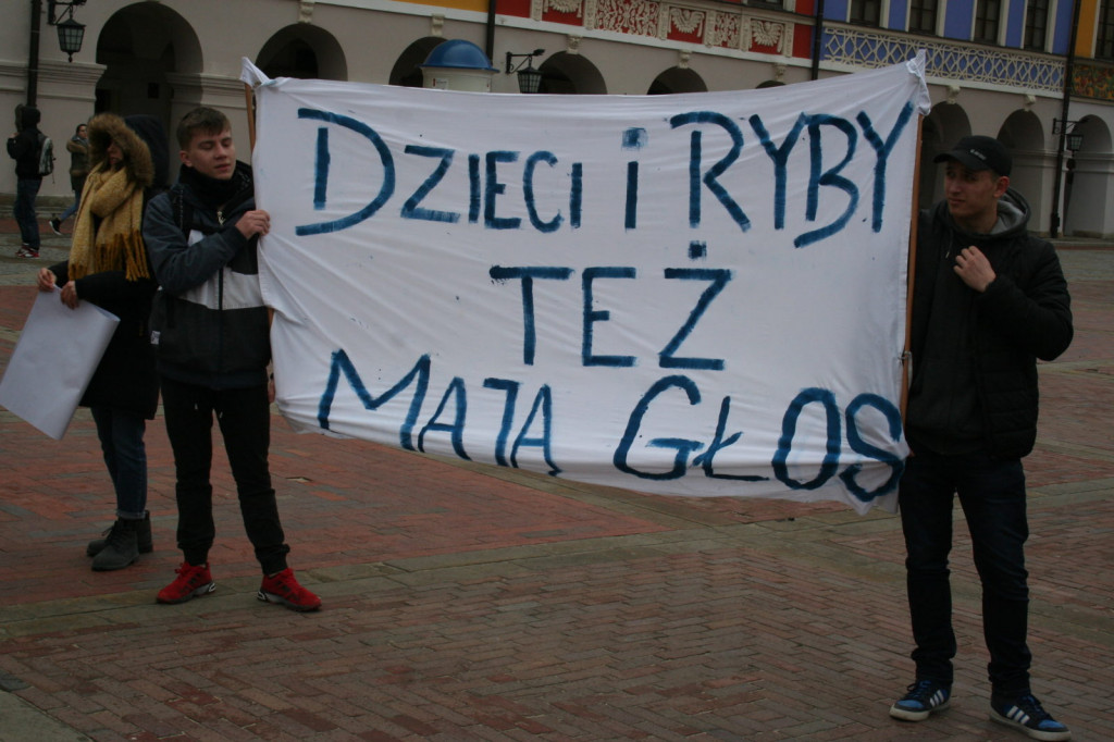 Zamość: Strajkowali dla klimatu [FOTO, VIDEO]