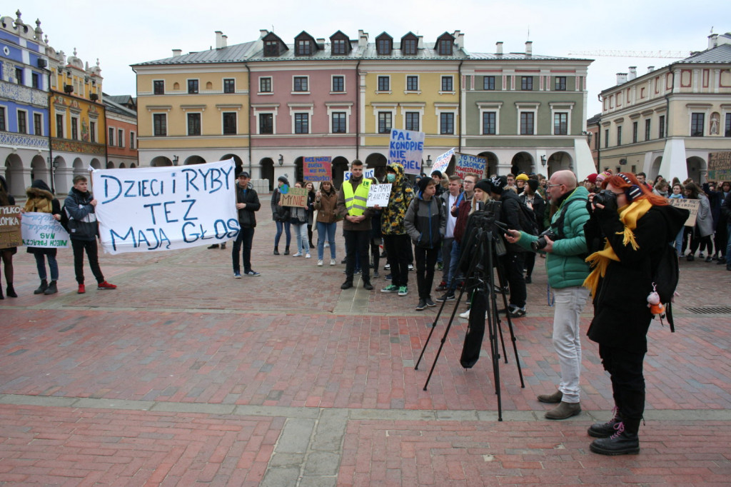 Zamość: Strajkowali dla klimatu [FOTO, VIDEO]