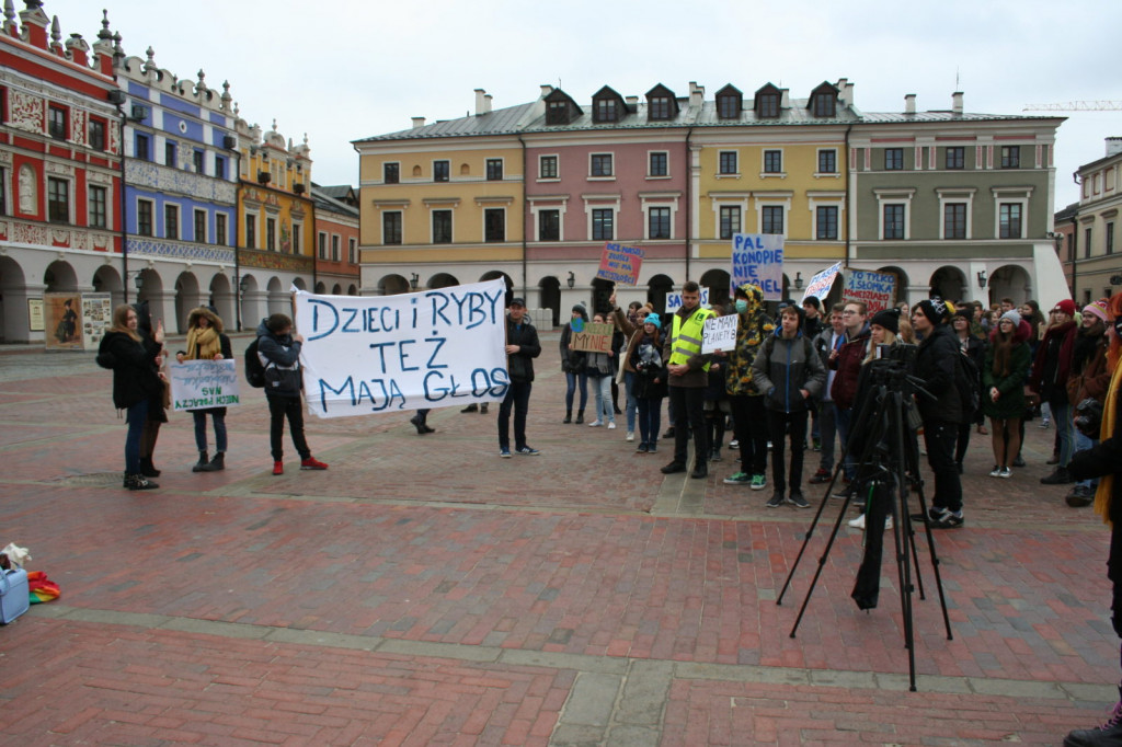 Zamość: Strajkowali dla klimatu [FOTO, VIDEO]