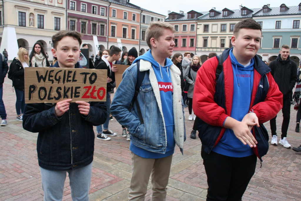 Zamość: Strajkowali dla klimatu [FOTO, VIDEO]