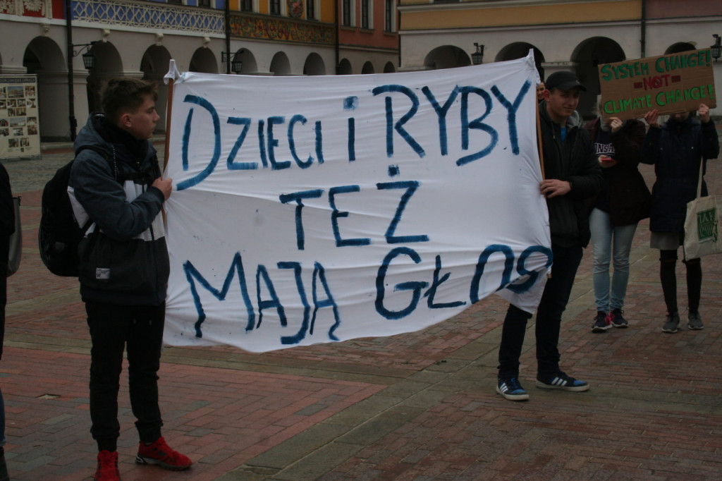 Zamość: Strajkowali dla klimatu [FOTO, VIDEO]