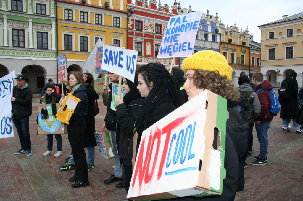 Zamość: Strajkowali dla klimatu [FOTO, VIDEO]