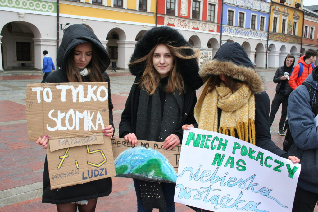 Zamość: Strajkowali dla klimatu [FOTO, VIDEO]