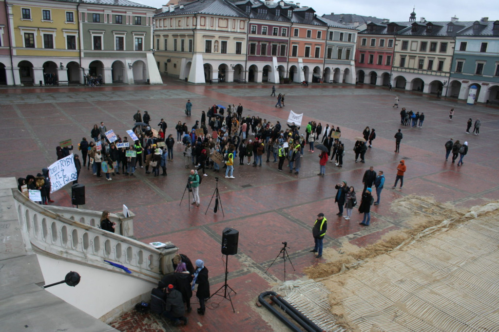 Zamość: Strajkowali dla klimatu [FOTO, VIDEO]