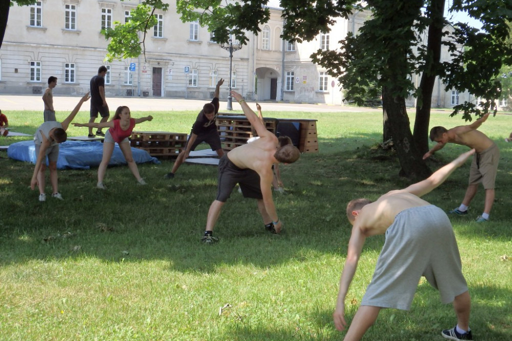 Free run i parkour dla odważnych