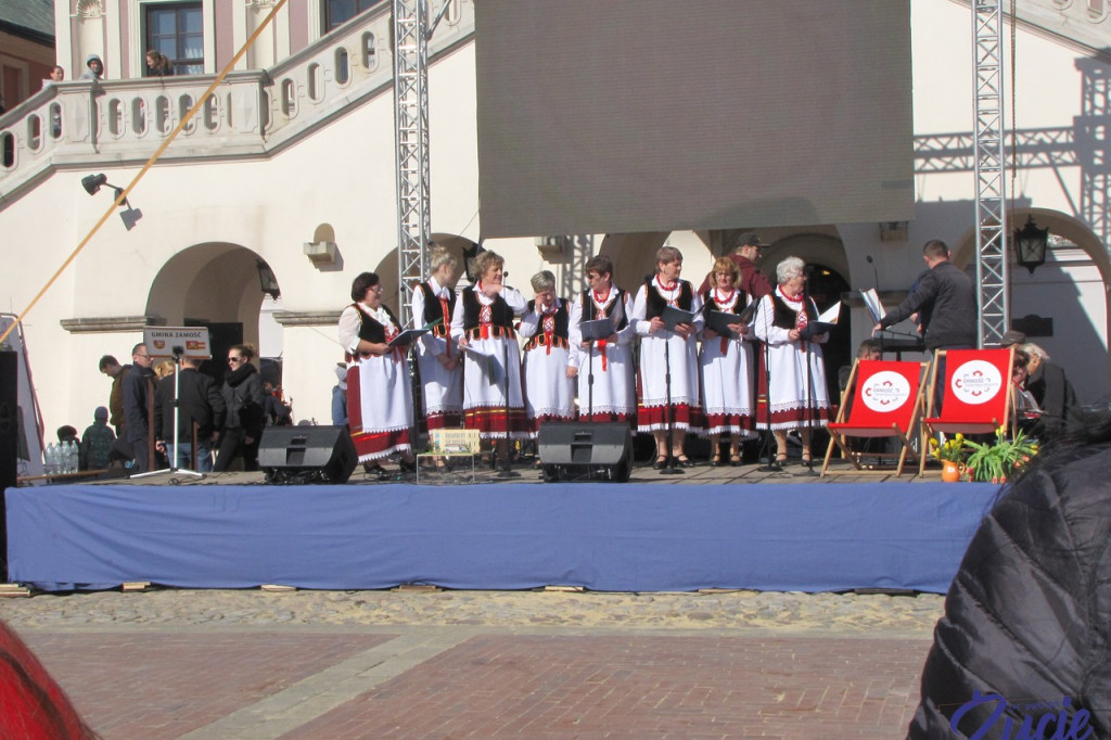 Zamość: 
