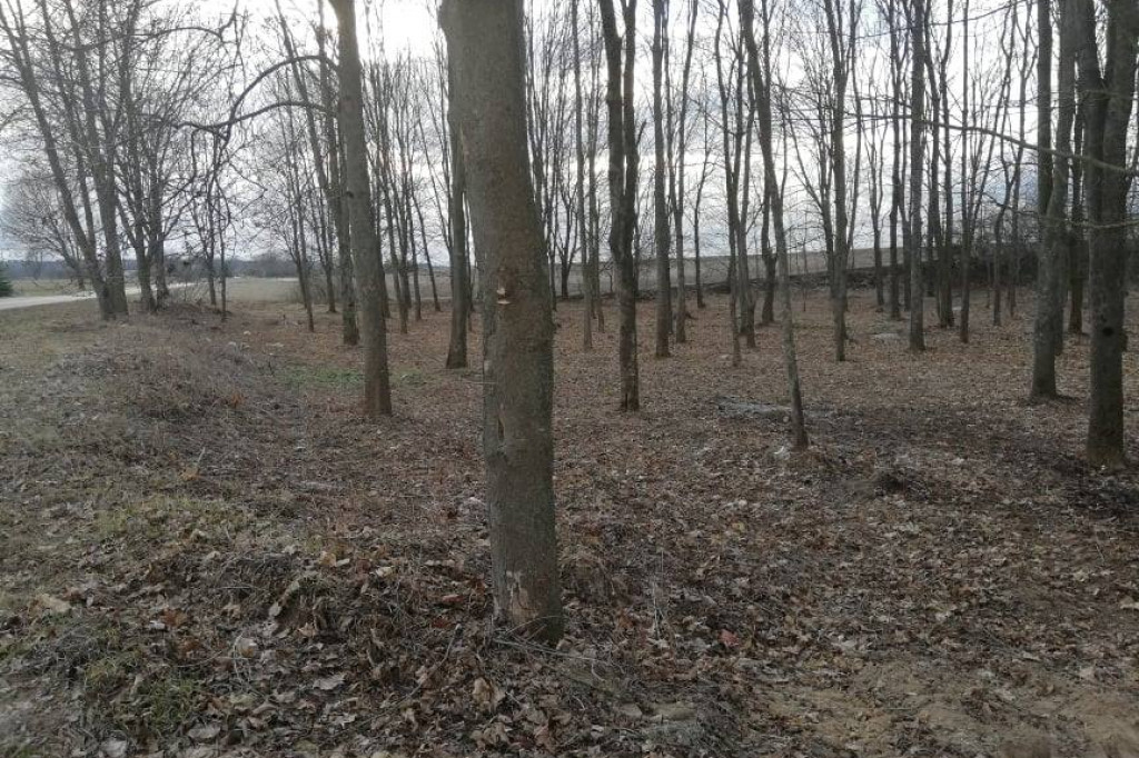 Jarczów: Mieszkańcy posprzątali park
