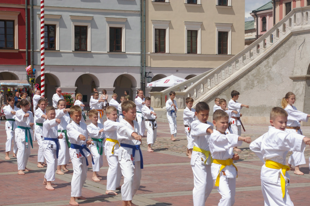 Walczyli o Puchar Roztocza