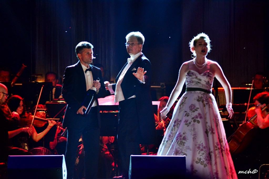 13 Zamojski Festiwal Kultury w obiektywie [ZDJĘCIA]