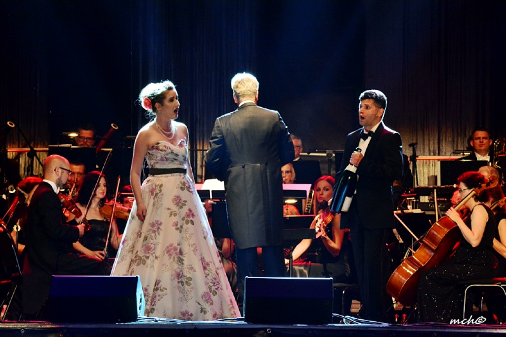 13 Zamojski Festiwal Kultury w obiektywie [ZDJĘCIA]