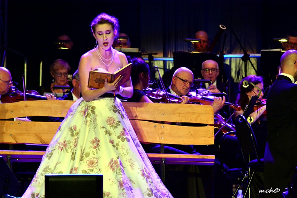 13 Zamojski Festiwal Kultury w obiektywie [ZDJĘCIA]