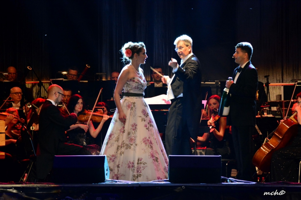 13 Zamojski Festiwal Kultury w obiektywie [ZDJĘCIA]