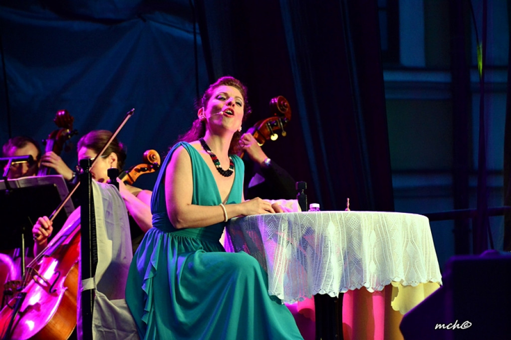 13 Zamojski Festiwal Kultury w obiektywie [ZDJĘCIA]