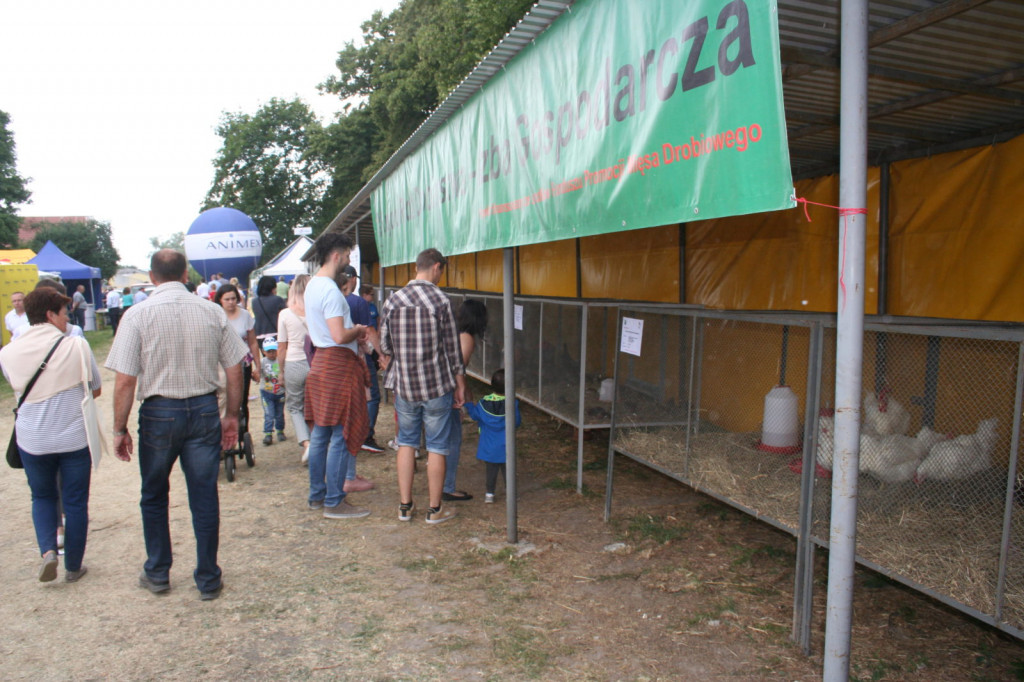 XXXIII Wystawa Zwierząt Hodowlanych, Maszyn i Urządzeń Rolniczych w Sitnie [ZDJĘCIA]