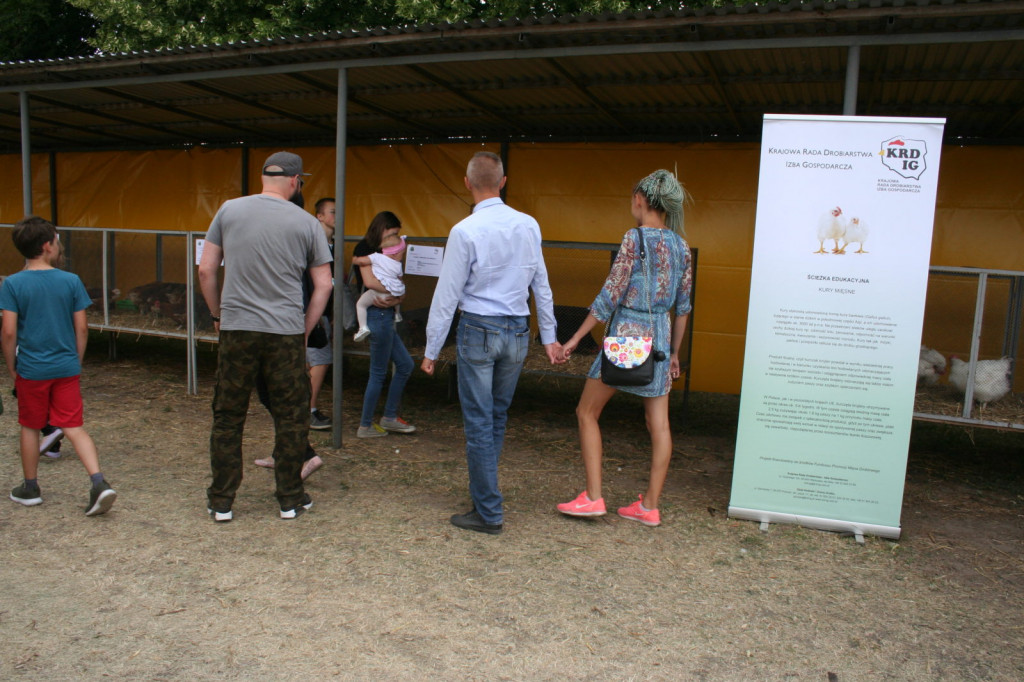 XXXIII Wystawa Zwierząt Hodowlanych, Maszyn i Urządzeń Rolniczych w Sitnie [ZDJĘCIA]