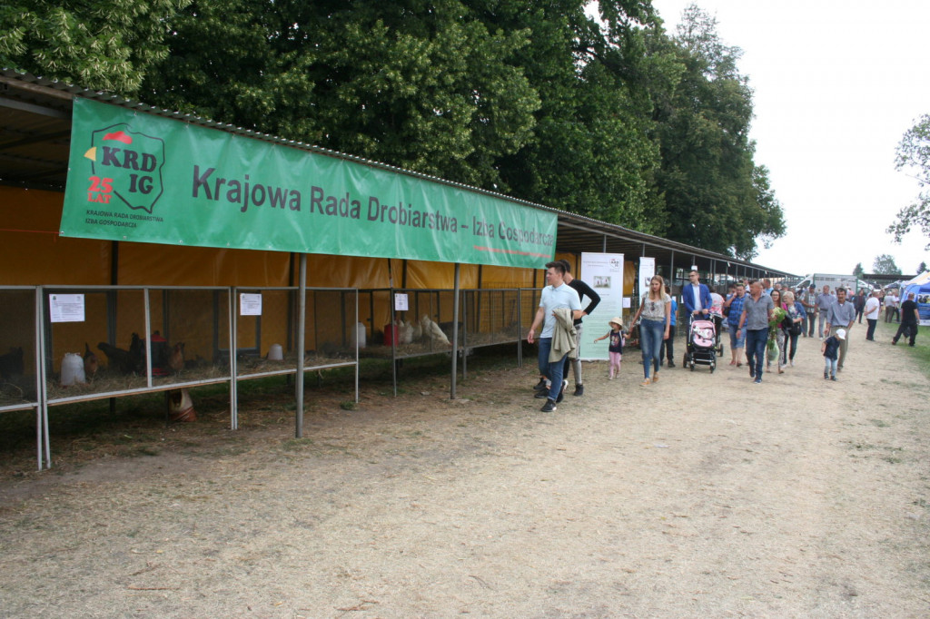 XXXIII Wystawa Zwierząt Hodowlanych, Maszyn i Urządzeń Rolniczych w Sitnie [ZDJĘCIA]