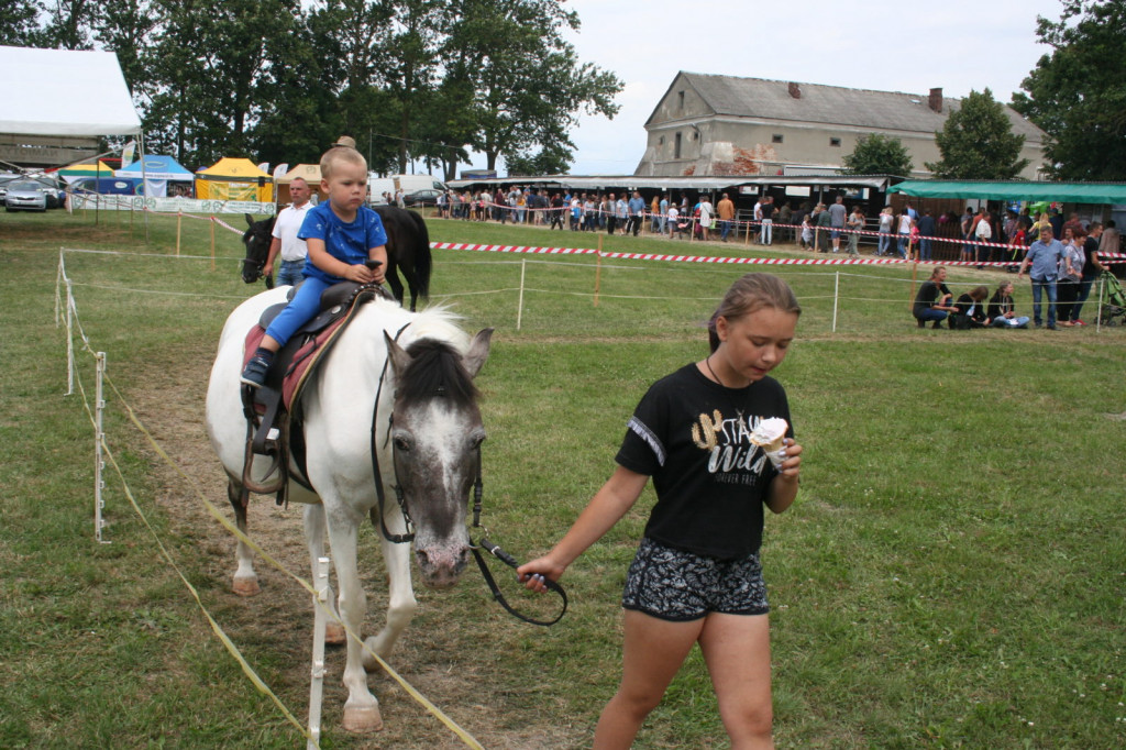 XXXIII Wystawa Zwierząt Hodowlanych, Maszyn i Urządzeń Rolniczych w Sitnie [ZDJĘCIA]