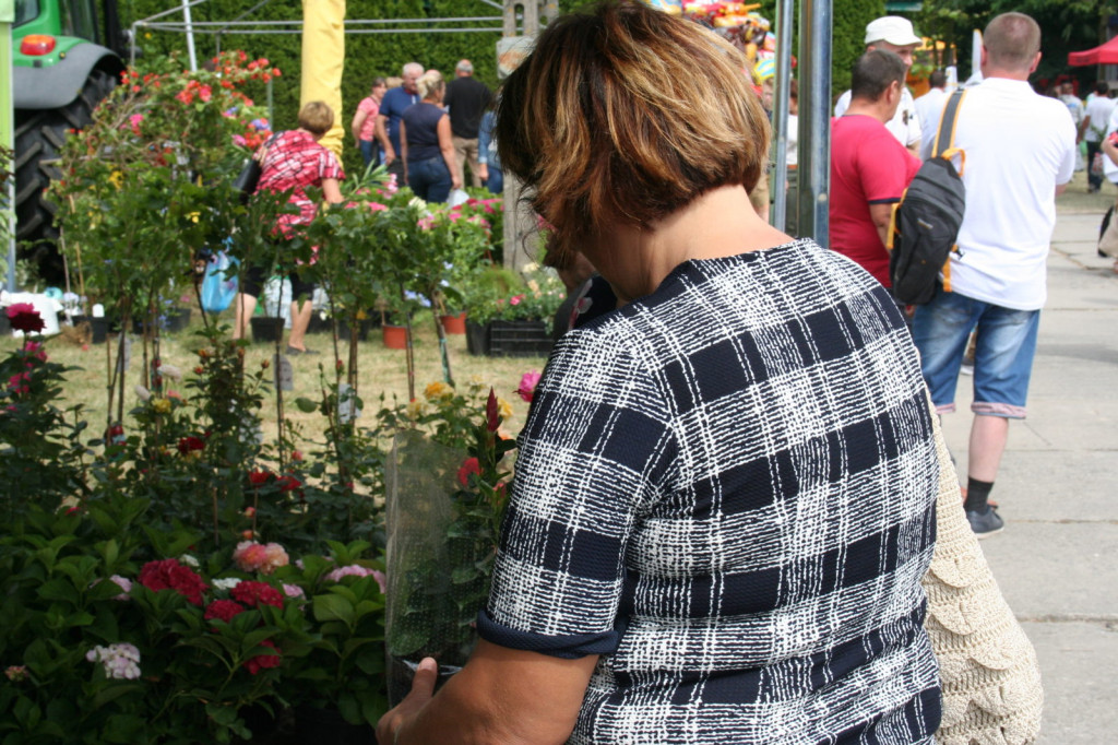 XXXIII Wystawa Zwierząt Hodowlanych, Maszyn i Urządzeń Rolniczych w Sitnie [ZDJĘCIA]