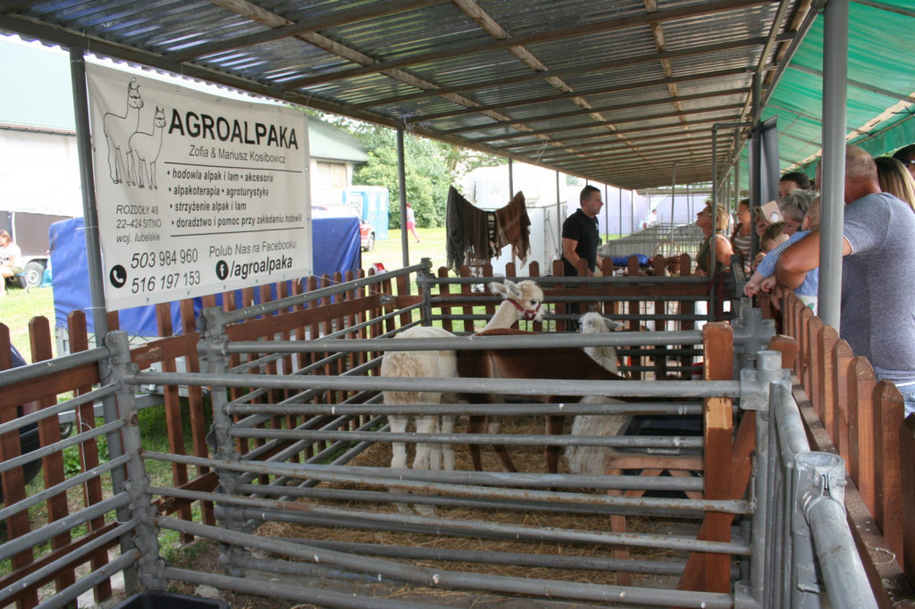 XXXIII Wystawa Zwierząt Hodowlanych, Maszyn i Urządzeń Rolniczych w Sitnie [ZDJĘCIA]